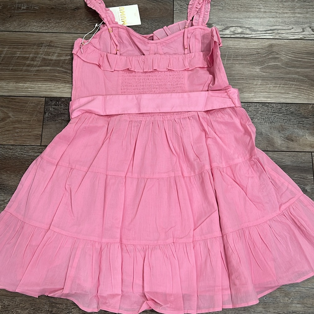 Show Me Your MuMu Pink Ruffle Mini Dress - Picture 11 of 12